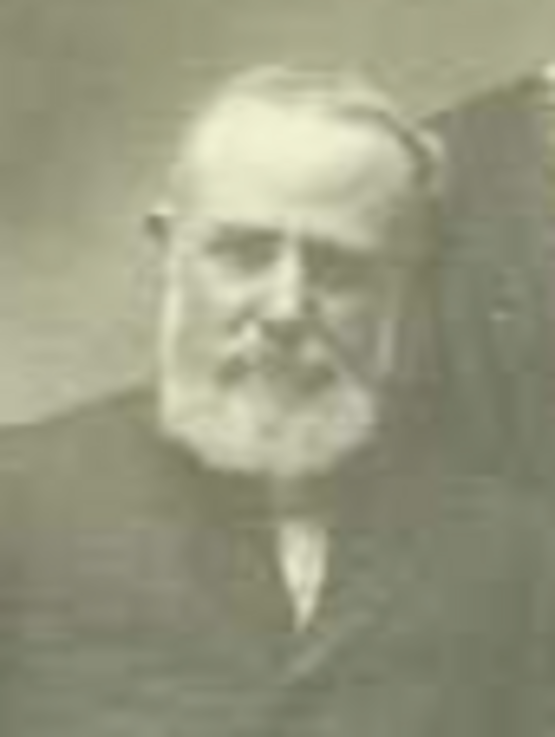 Joel Andrew Johnson (1847 - 1926) Profile